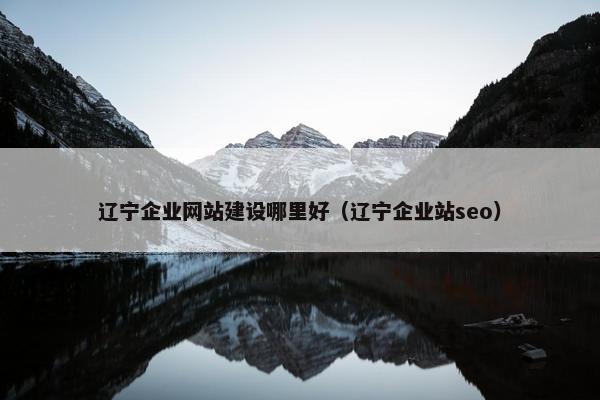 辽宁企业网站建设哪里好（辽宁企业站seo）