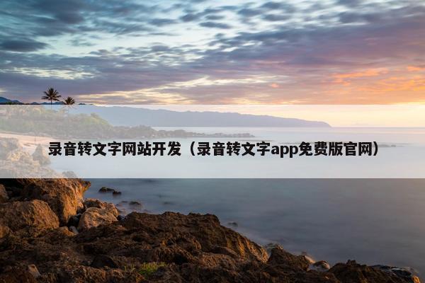 录音转文字网站开发（录音转文字app免费版官网）
