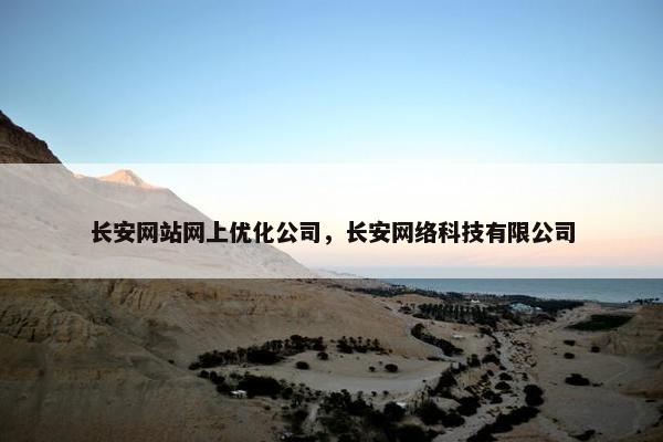 长安网站网上优化公司，长安网络科技有限公司