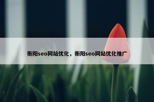 衡阳seo网站优化，衡阳seo网站优化推广