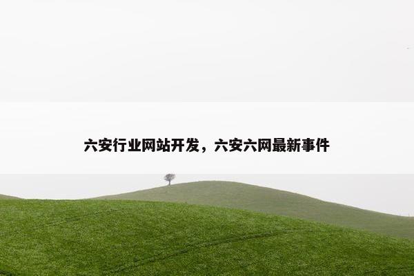 六安行业网站开发，六安六网最新事件