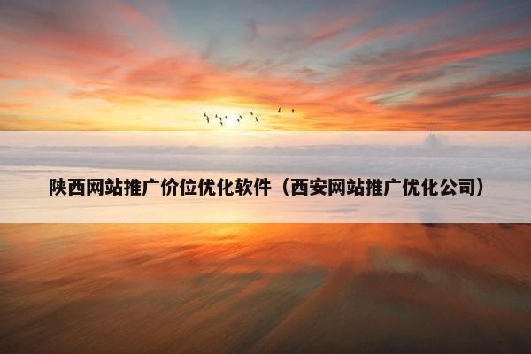 陕西网站推广价位优化软件（西安网站推广优化公司）