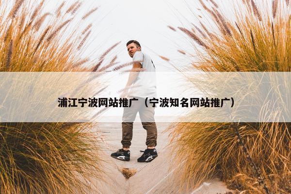 浦江宁波网站推广（宁波知名网站推广）
