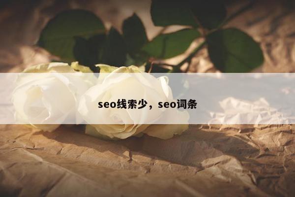 seo线索少，seo词条