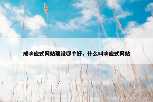 成响应式网站建设哪个好，什么叫响应式网站