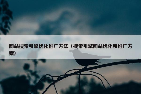 网站搜索引擎优化推广方法（搜索引擎网站优化和推广方案）