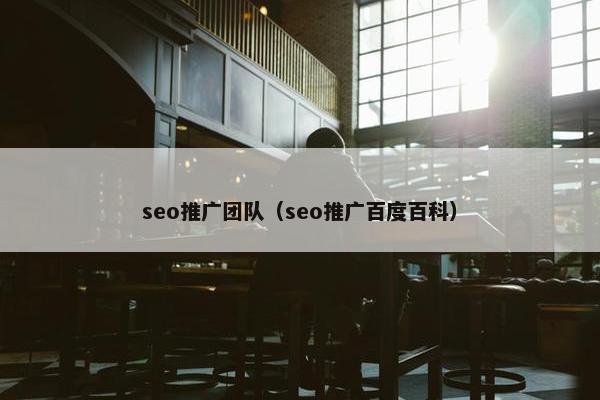seo推广团队（seo推广百度百科）