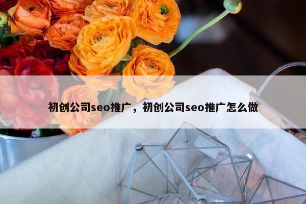 初创公司seo推广，初创公司seo推广怎么做