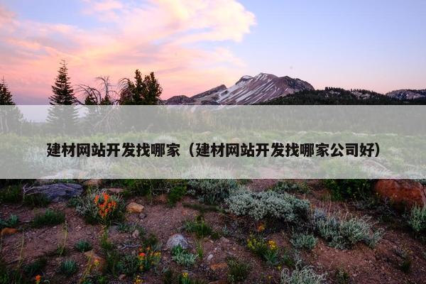 建材网站开发找哪家（建材网站开发找哪家公司好）