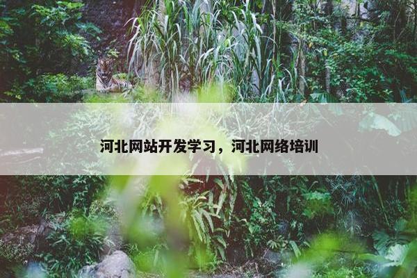河北网站开发学习，河北网络培训
