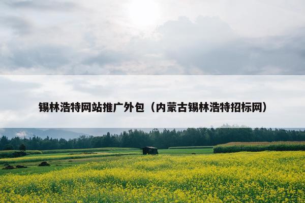 锡林浩特网站推广外包（内蒙古锡林浩特招标网）