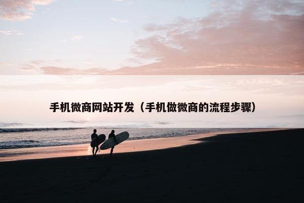 手机微商网站开发（手机做微商的流程步骤）