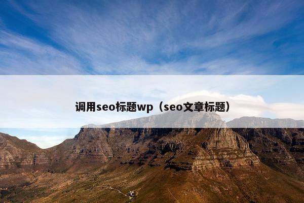 调用seo标题wp（seo文章标题）