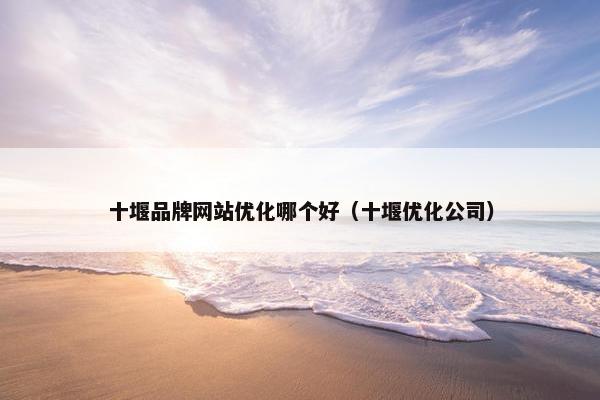十堰品牌网站优化哪个好（十堰优化公司）