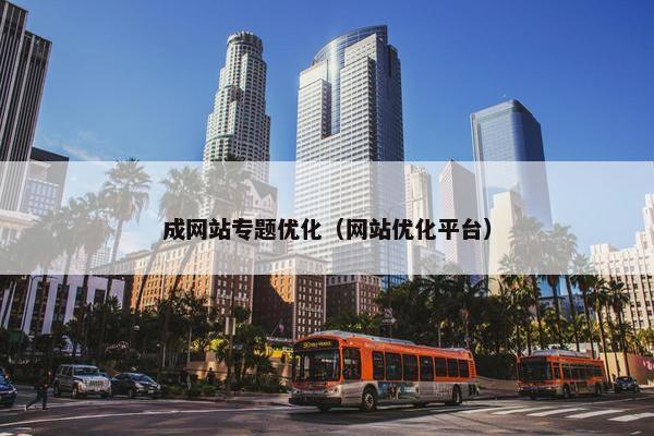 成网站专题优化（网站优化平台）