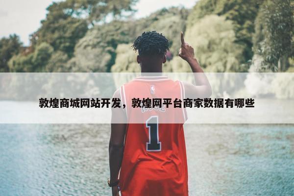 敦煌商城网站开发，敦煌网平台商家数据有哪些
