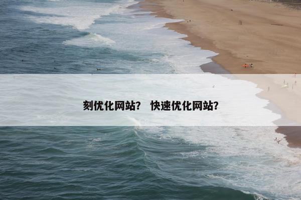 刻优化网站？ 快速优化网站？