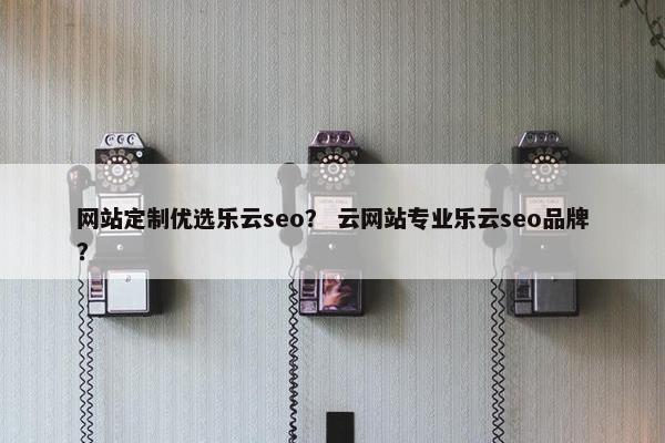 网站定制优选乐云seo？ 云网站专业乐云seo品牌？
