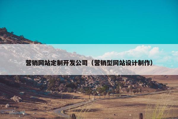 营销网站定制开发公司（营销型网站设计制作）