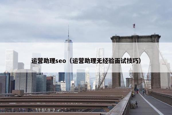 运营助理seo（运营助理无经验面试技巧）