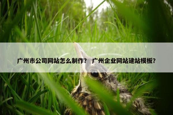 广州市公司网站怎么制作？ 广州企业网站建站模板？