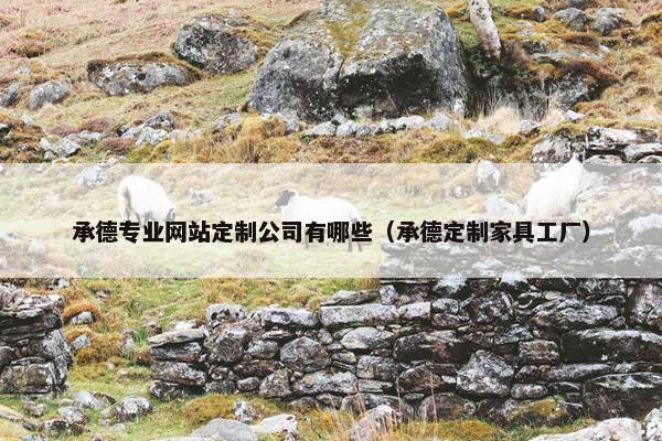 承德专业网站定制公司有哪些（承德定制家具工厂）