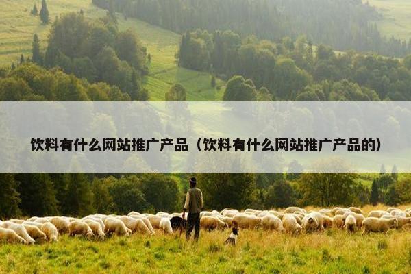 饮料有什么网站推广产品（饮料有什么网站推广产品的）