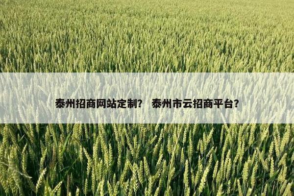泰州招商网站定制？ 泰州市云招商平台？