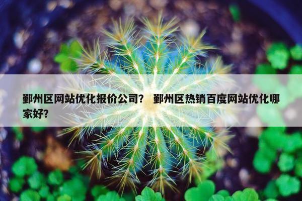 鄞州区网站优化报价公司？ 鄞州区热销百度网站优化哪家好？