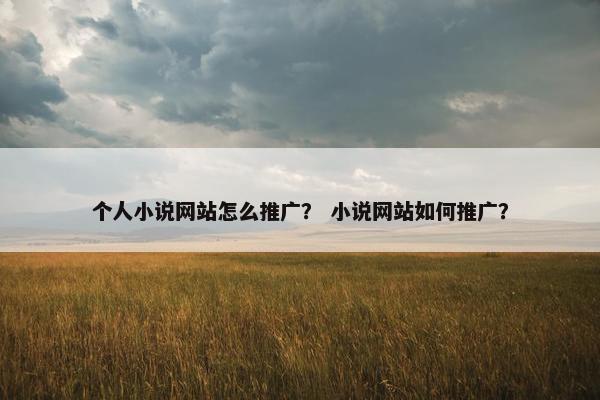 个人小说网站怎么推广？ 小说网站如何推广？