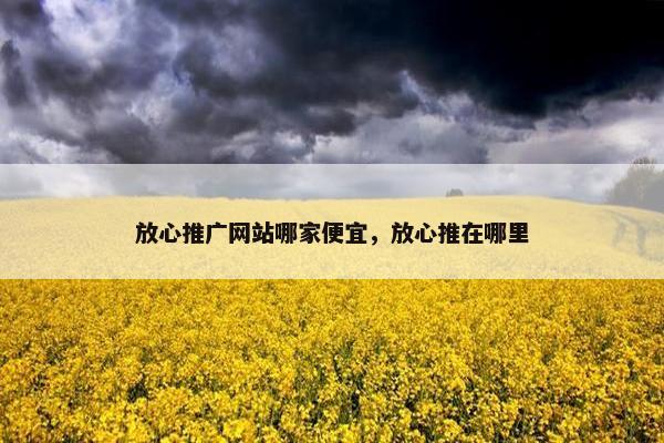 放心推广网站哪家便宜，放心推在哪里