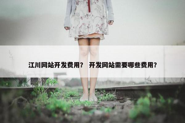 江川网站开发费用？ 开发网站需要哪些费用？