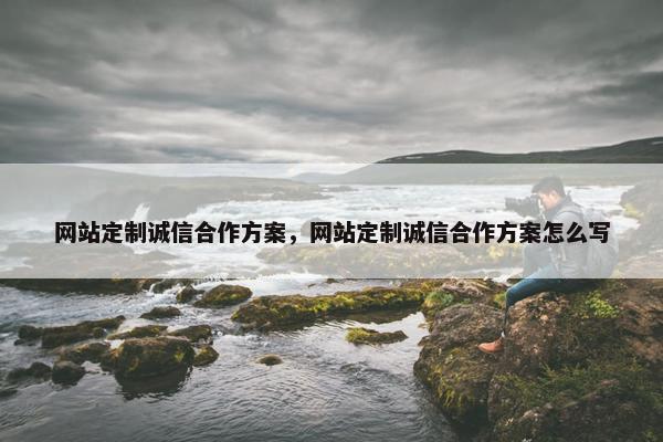网站定制诚信合作方案，网站定制诚信合作方案怎么写