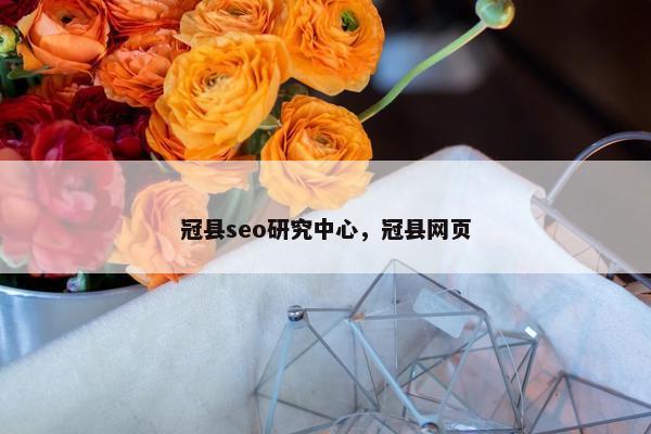 冠县seo研究中心，冠县网页