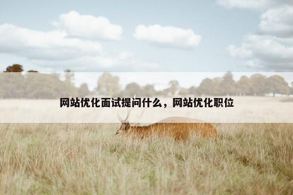 网站优化面试提问什么，网站优化职位
