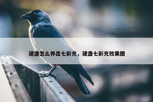 建盏怎么养出七彩光，建盏七彩光效果图