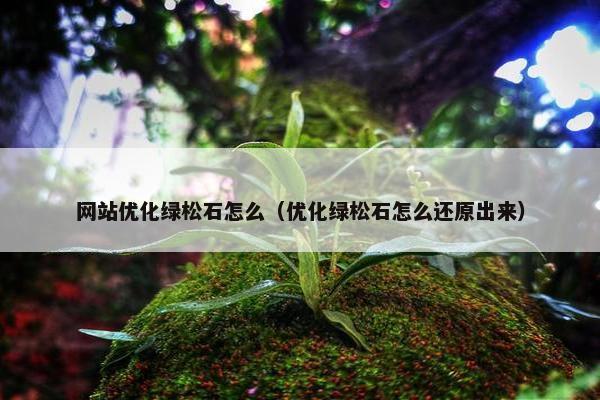 网站优化绿松石怎么（优化绿松石怎么还原出来）