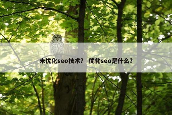 未优化seo技术？ 优化seo是什么？