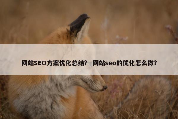 网站SEO方案优化总结？ 网站seo的优化怎么做？
