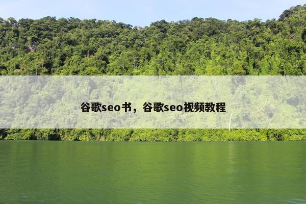 谷歌seo书，谷歌seo视频教程