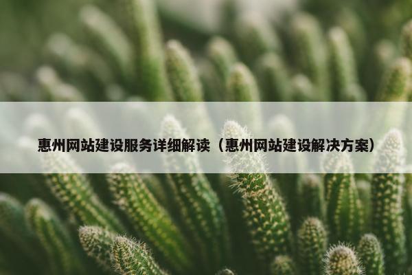 惠州网站建设服务详细解读（惠州网站建设解决方案）