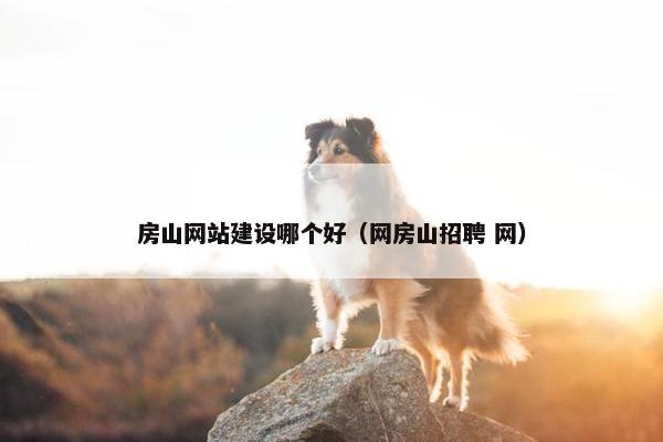 房山网站建设哪个好（网房山招聘 网）