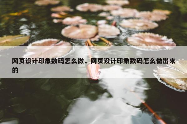 网页设计印象数码怎么做，网页设计印象数码怎么做出来的