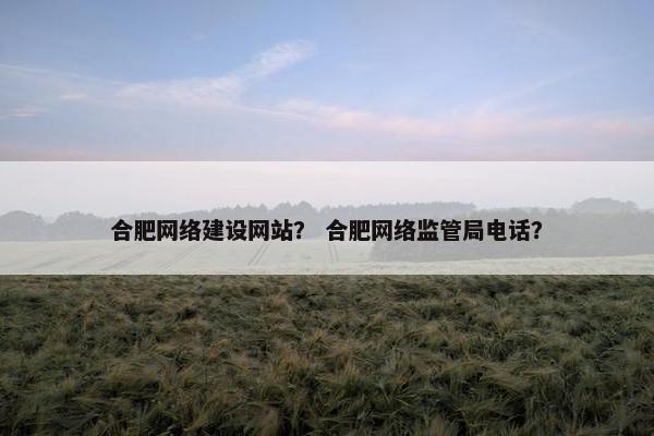 合肥网络建设网站？ 合肥网络监管局电话？