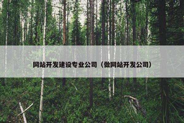 网站开发建设专业公司（做网站开发公司）