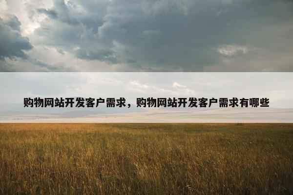 购物网站开发客户需求，购物网站开发客户需求有哪些