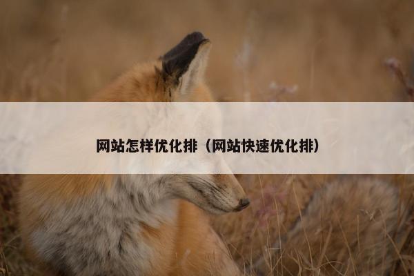 网站怎样优化排（网站快速优化排）