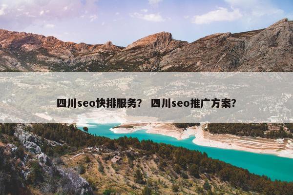 四川seo快排服务？ 四川seo推广方案？