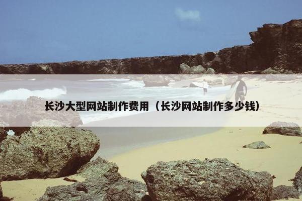 长沙大型网站制作费用（长沙网站制作多少钱）
