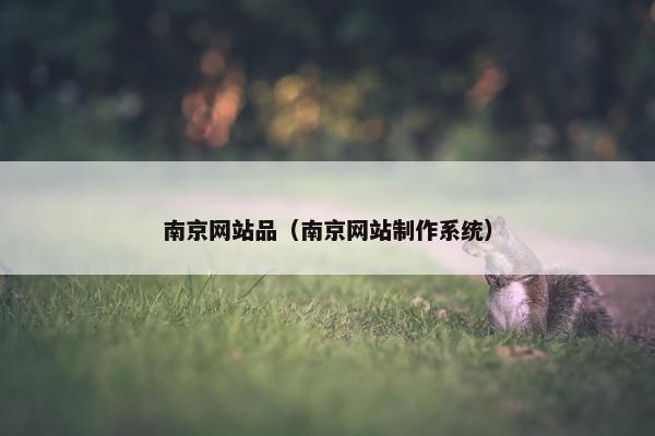 南京网站品（南京网站制作系统）